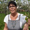Aide � domicile, Auxiliaire de vie
