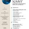 Employ de maison, Factotum