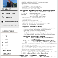 Governess, Domestic worker