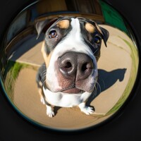 Guardian, Homme toutes mains