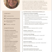Auxiliaire de vie, Gouvernante