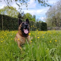 Gardien, Homme toutes mains