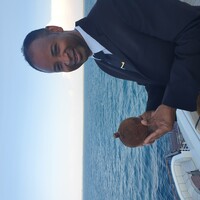 Employ de maison, Majordome