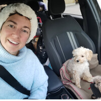 Assistante personnelle, Assistante administrative