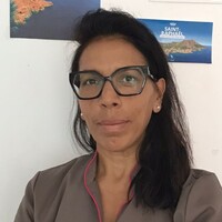 Gouvernante, Dame de compagnie